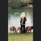 Susana Gimenez y sus perros