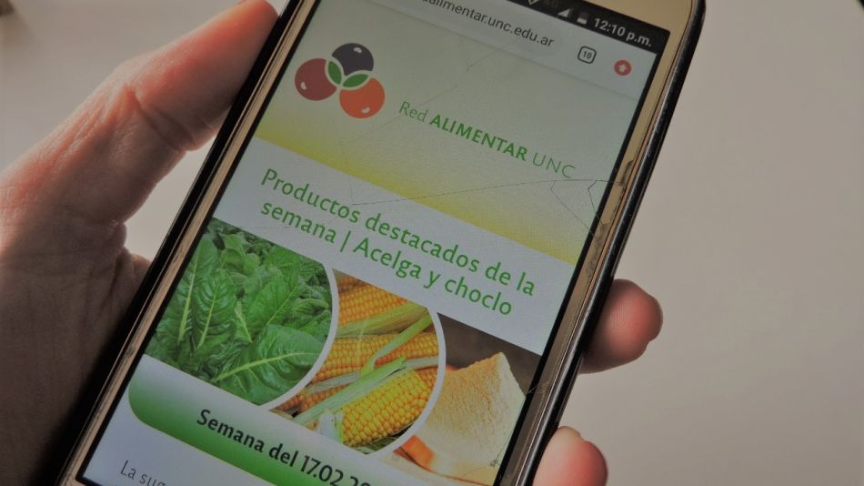 Universidades contra el hambre
