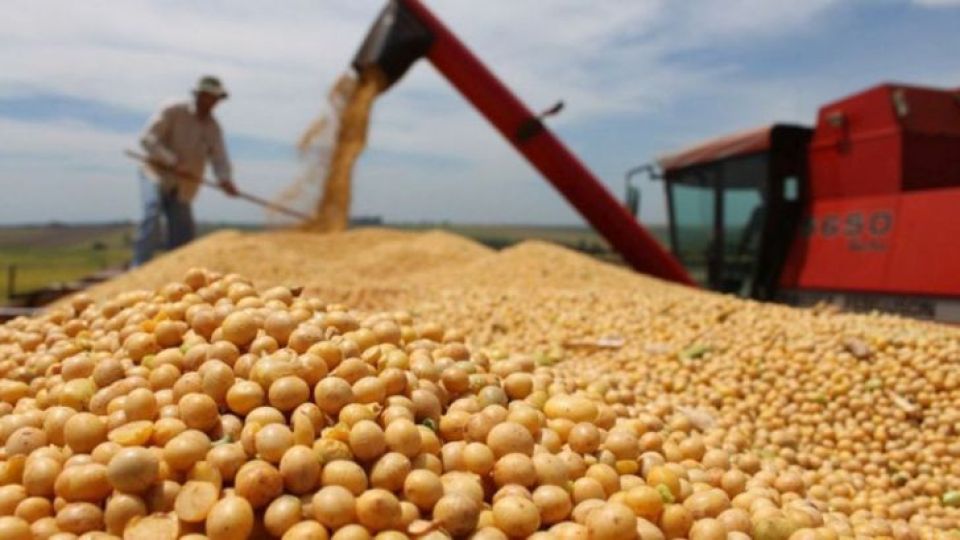 OTRA MAS. La suba al 33% de retenciones a las exportaciones de la soja ya estaba contemplada en la Ley de Solidaridad. La renta quedaría en 0%, según estimaciones de entidades agrícolas.