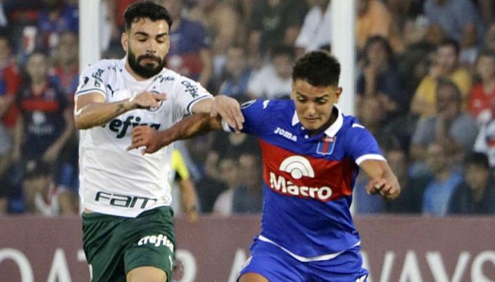 Tigre Palmeiras