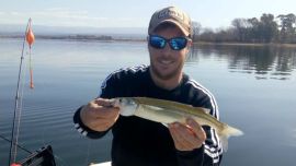 Pejerreyes cordobeses