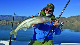 Pejerreyes en San Juan