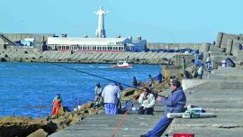 Pejerreyes en Mar del Plata
