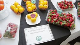 Los alimentos irradiados no precisan de aditivos químicos para conservarse durante meses.