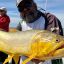 0903_dorados_rio_de_la_plata