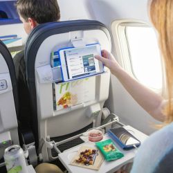 En los bolsillos del asiento del avión el pasajero suele dejar de todo, incluyendo pañuelos usados y comida sin terminar.