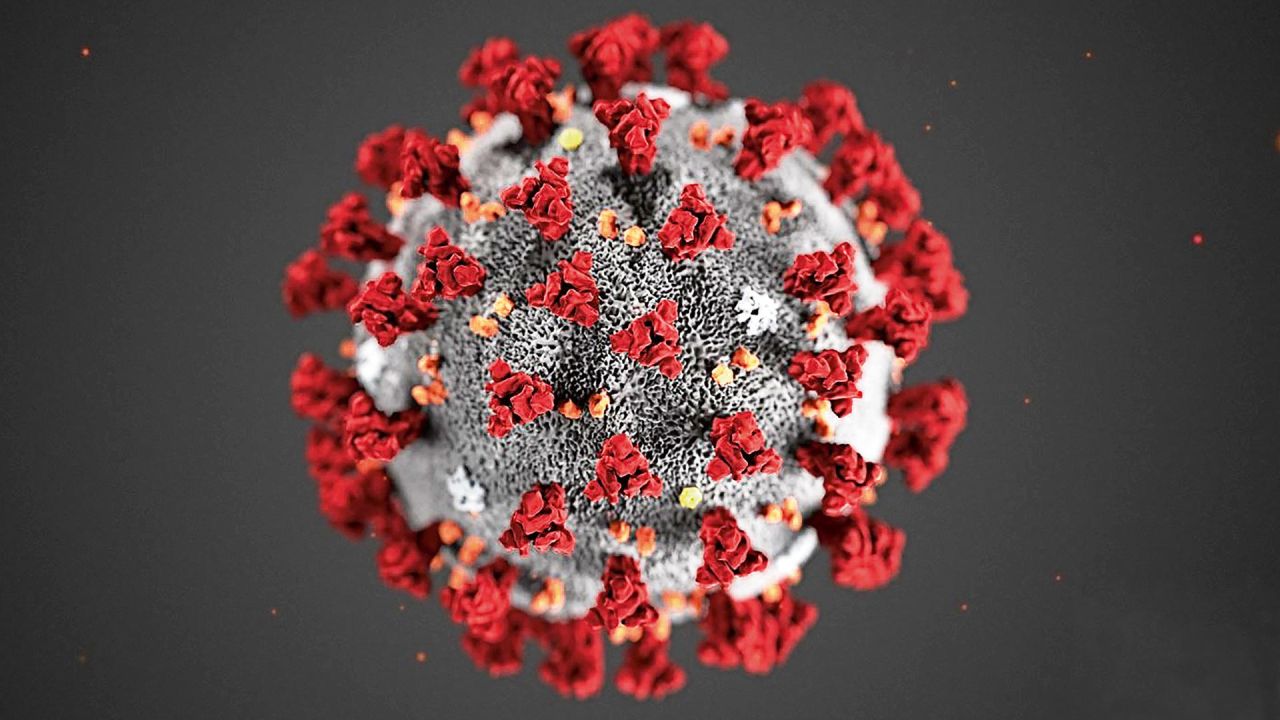 Coronavirus | Foto:cedoc
