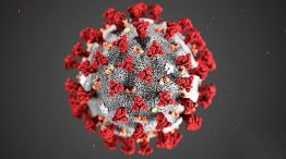 Coronavirus