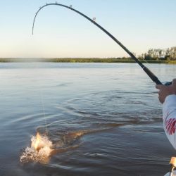 El trolling requiere conocimiento del guía y buena técnica por parte del pescador.