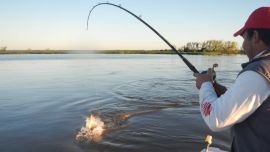 El trolling requiere conocimiento del guía y buena técnica por parte del pescador.