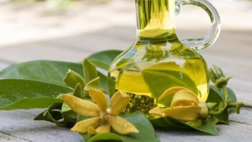 Aceite corporal.