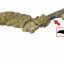 Fossil of 43-million-year-old penguin skin found in Antarctic