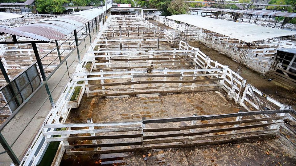 Vacío. El apurado paro del campo hizo poco caso al diálogo oficial y al impacto del coronavirus.