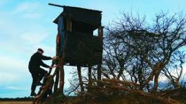 Por el Coronavirus, se suspendió la temporada de caza en cotos pampeanos.