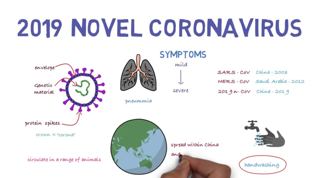 Curso OMS coronavirus | Foto:Cedoc