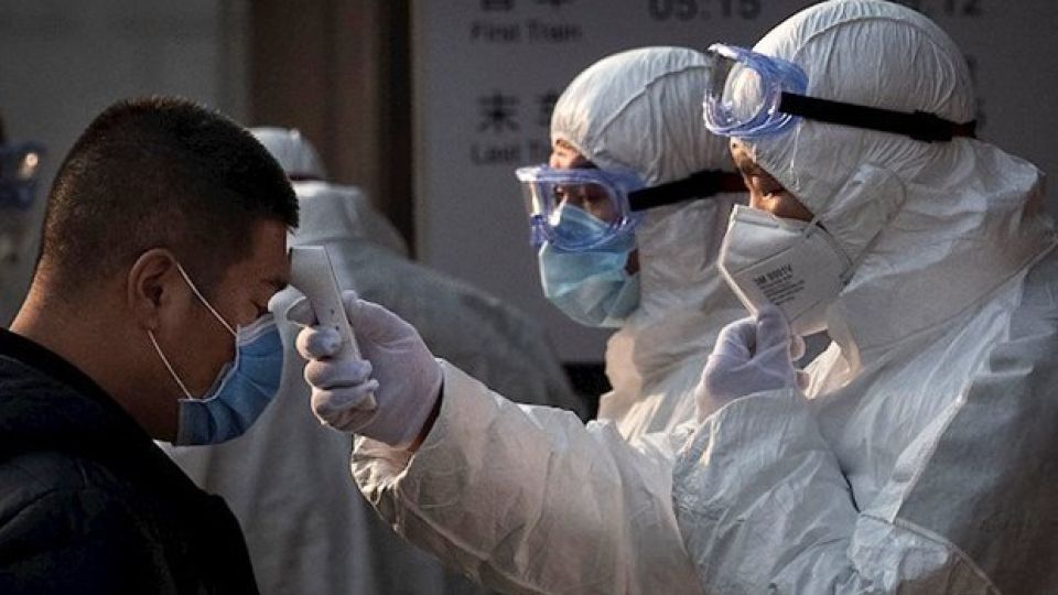 Cifras sorprendentes de pacientes recuperados