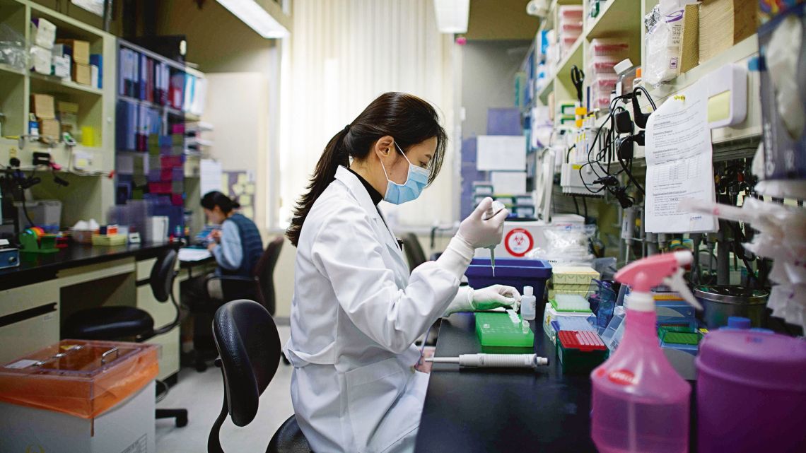Coronavirus | Foto:cedoc