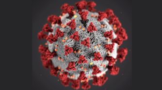 covid-19_virus_Wikipedia_19_03_2020