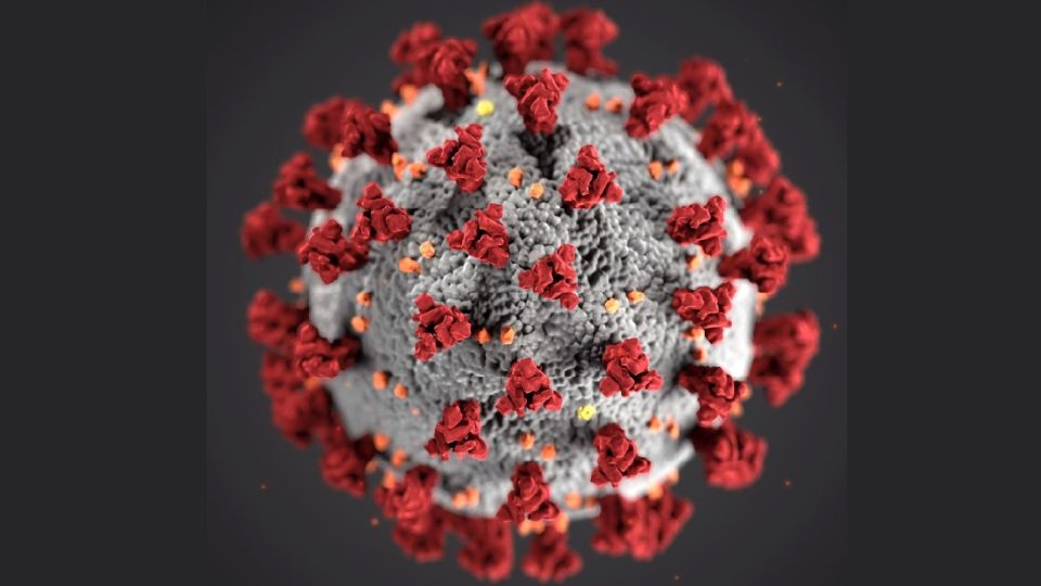 covid-19_virus_Wikipedia_19_03_2020