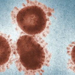 Coronavirus y una gran oportunidad