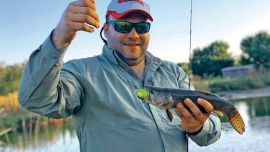 Tarariras desde la orilla en San Vicente