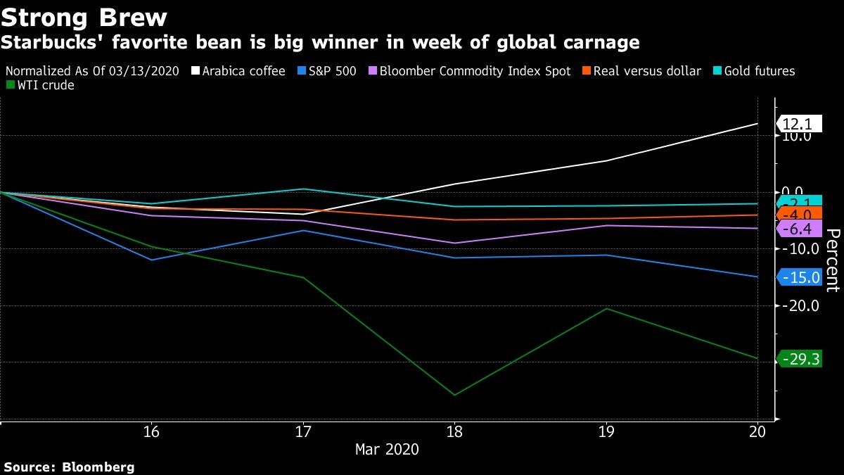 Starbucks' favorite bean is big winner in week of global carnage