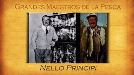 Nello Principi