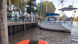 Dos barcos fueron sorprendidos en Tigre y Olivos provenientes de Brasil.