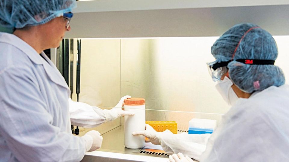 Test. Se utiliza una técnica conocida como PCR. Los resultados tardan entre seis y siete horas.