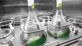 El e-diésel es capaz de funcionar en motores convencionales.