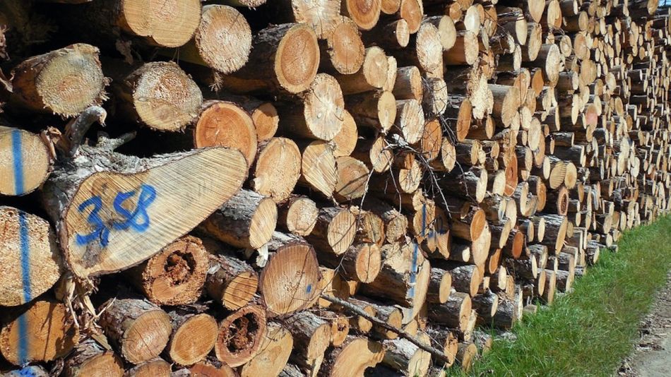 Madera industria Forestal