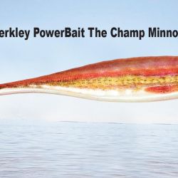 Berkley PowerBait The Champ Minnow