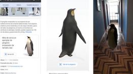 Animales 3D Google