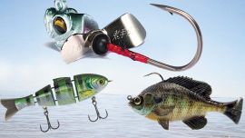 Los 20 mejores señuelos del 2020