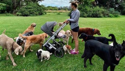 Eugenia Tobal, Ema y sus cachorros