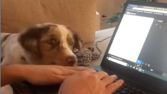 viral