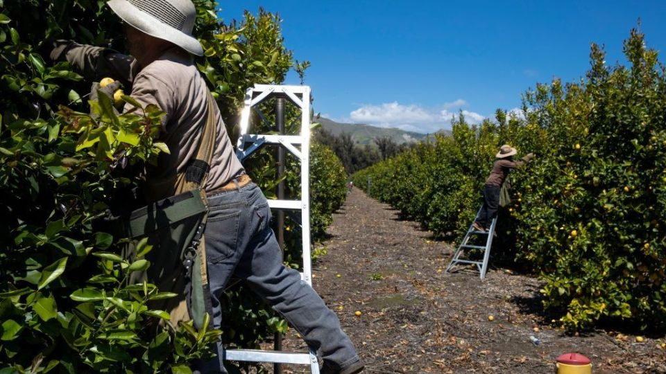 "Essential" Workers Keep American Life Going During Coronavirus Pandemic