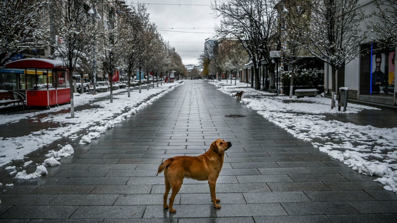 Coronavirus: la semana en 50 fotos del mundo. Kosovo