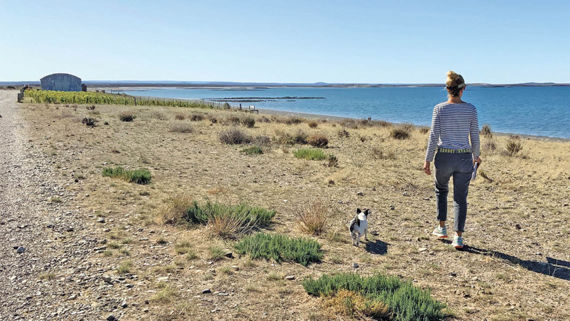 Astrid Perkins walks her dog at the yard of her home in Bahia Bustamante, in the province of Chubut.