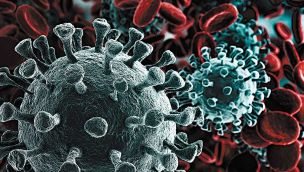 20200405_coronavirus_shutterstock_g