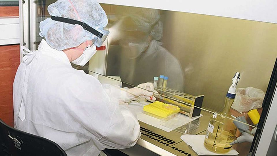 Laboratorios siguen estudiando cómo luchar contra el Covid-19.