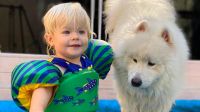 VIDEO | Dionisio Mendoza te enseña a limpiar las patitas de tu mascota con su perro, Aarón