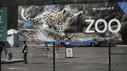 Zoológico de Nueva York 20200406