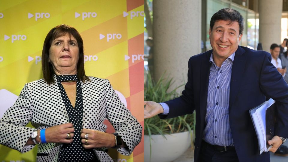patricia bullrich daniel arroyo g_20200406