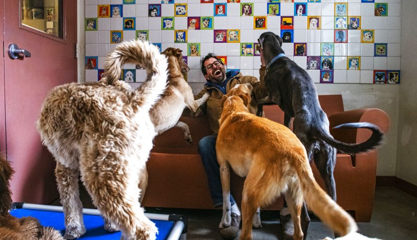 Por qué las mascotas reducen nuestro estrés en tiempo de cuarentena