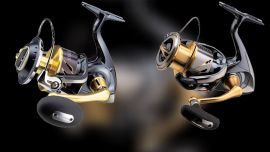 Duelo de titanes: reeles Shimano Stella SW vs FI