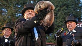 El virus de la marmota