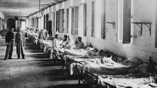 La fiebre amarilla dejó aproximadamente 14 mil muertos en Argentina.