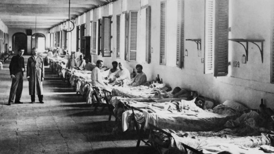 La fiebre amarilla dejó aproximadamente 14 mil muertos en Argentina.