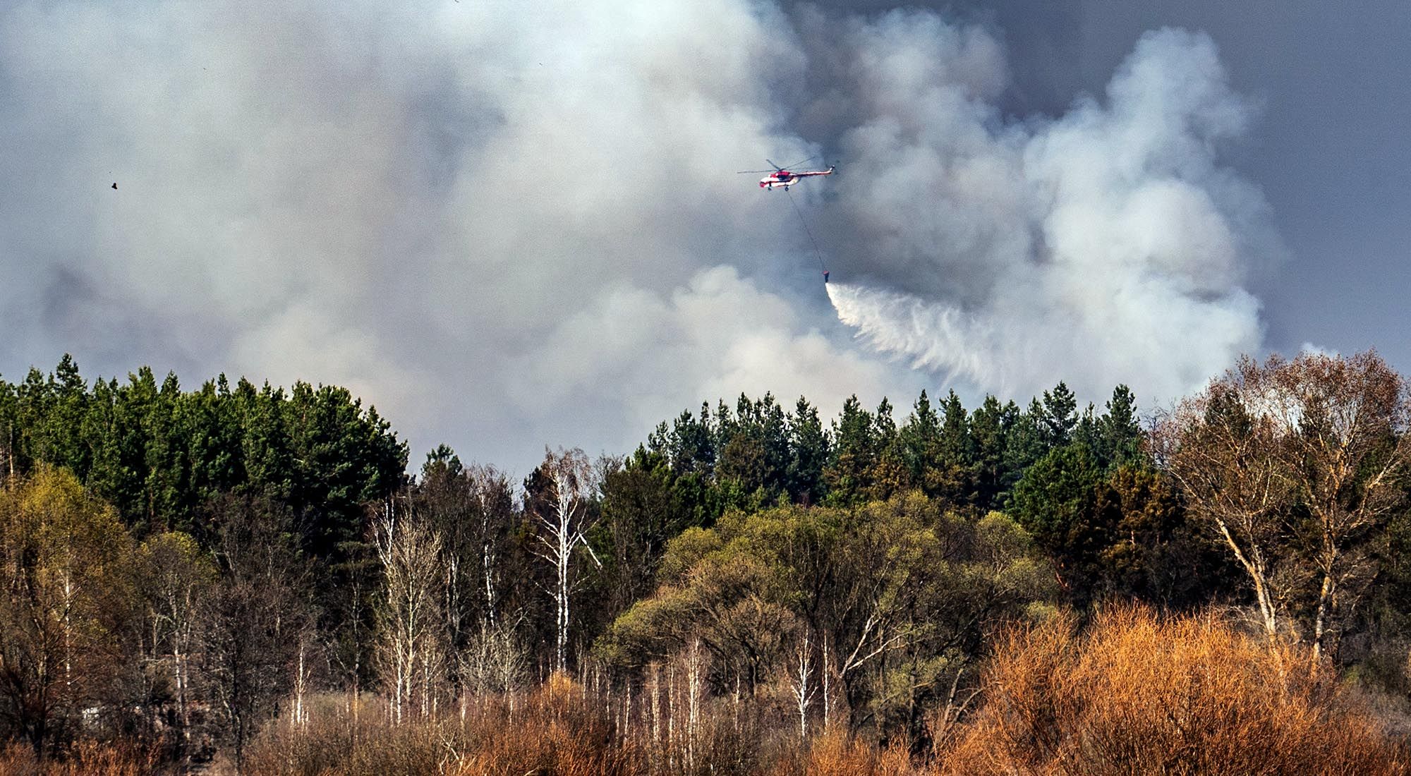 El Bosque Rojo se incendia desde el 3 de abril 2020